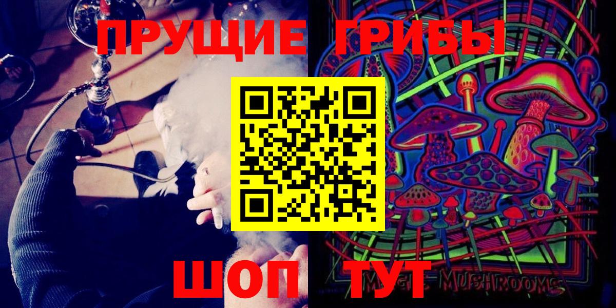 Галлюциногенные грибы GOLDEN TEACHER  купить закладку  Зеленодольск  Вход с VPN 