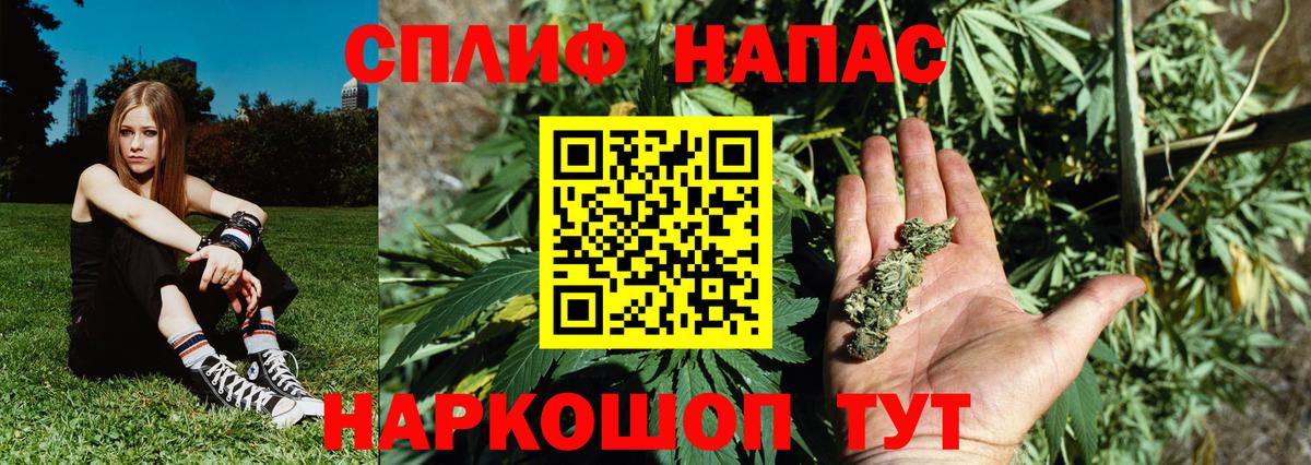 Зеленодольск  Конопля тримм  Вход с VPN  МАРИХУАНА MAZAR  Шишки марихуана SATIVA & INDICA 